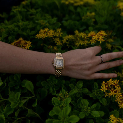 Rosa - Calista